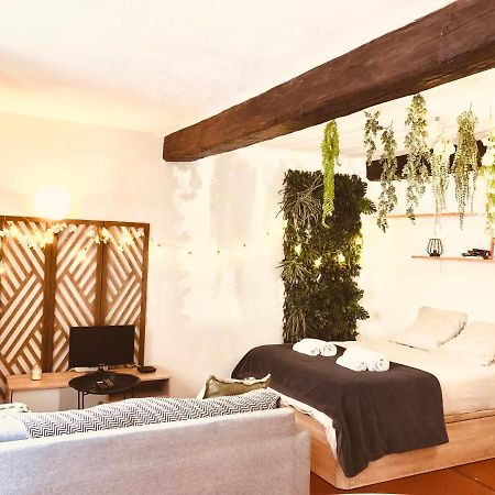 Jungle Hyper Centre Lejlighed Nîmes Eksteriør billede